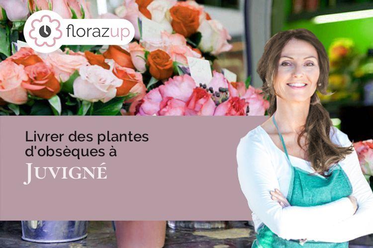 Acheter Des Créations De Fleurs Pour Des Obsèques à Juvigné