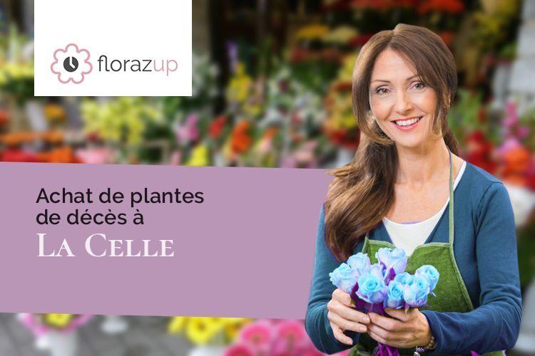 bouquets de fleurs pour un décès à La Celle (Allier/03600)