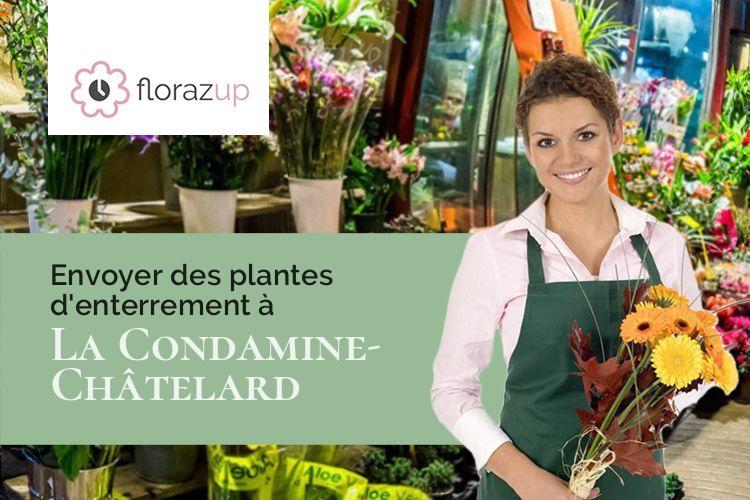 plantes pour un deuil à La Condamine-Châtelard (Alpes-de-Haute-Provence/04530)