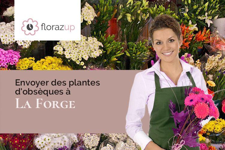 plantes pour un deuil à La Forge (Vosges/88530)