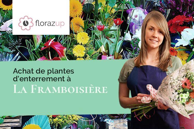 bouquets de fleurs pour un enterrement à La Framboisière (Eure-et-Loir/28250)