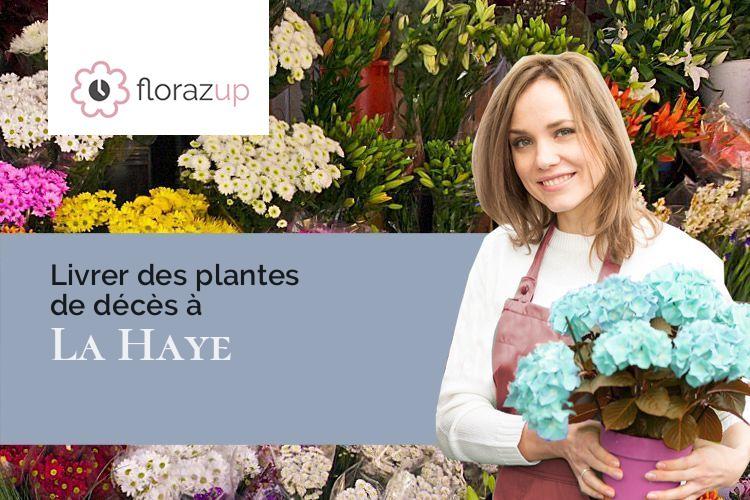 compositions florales pour une crémation à La Haye (Vosges/88240)