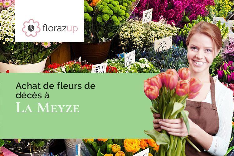 bouquets de fleurs pour un décès à La Meyze (Haute-Vienne/87800)