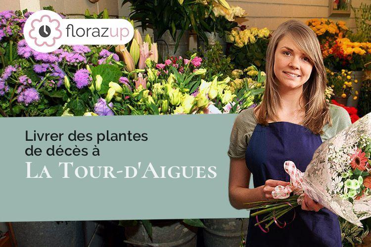 bouquets de fleurs pour des obsèques à La Tour-d'Aigues (Vaucluse/84240)