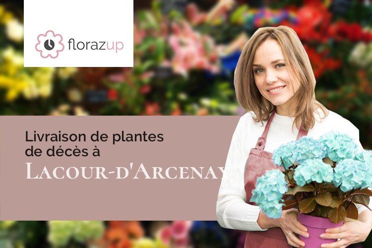 coeurs de fleurs pour un décès à Lacour-d'Arcenay (Côte-d'Or/21210)