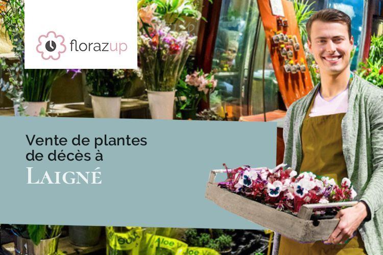 coeurs de fleurs pour un décès à Laigné (Mayenne/53200)