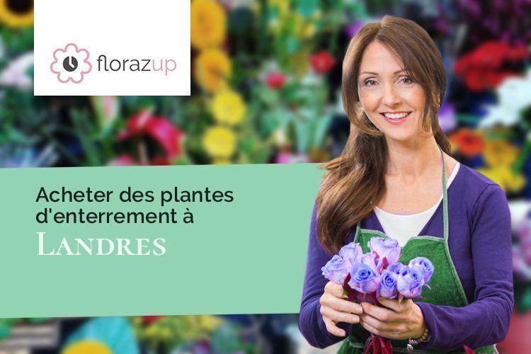 créations de fleurs pour un décès à Landres (Meurthe-et-Moselle/54970)