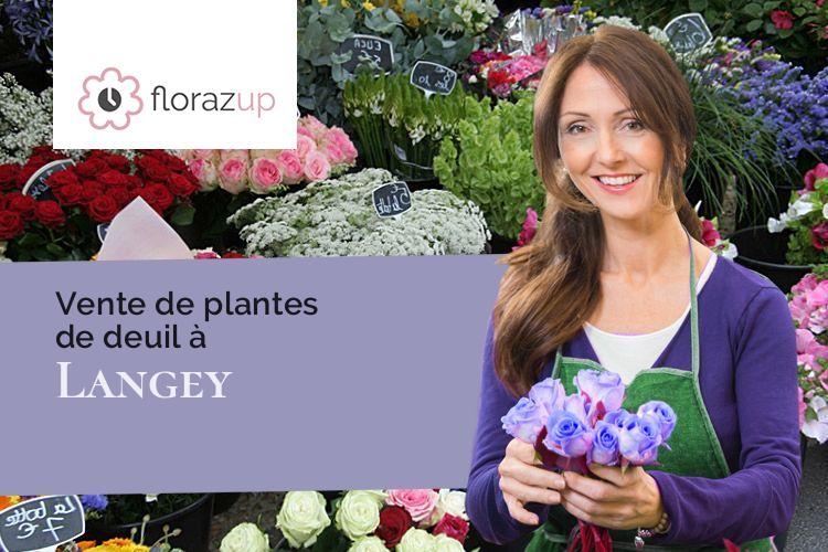fleurs deuil pour un décès à Langey (Eure-et-Loir/28220)