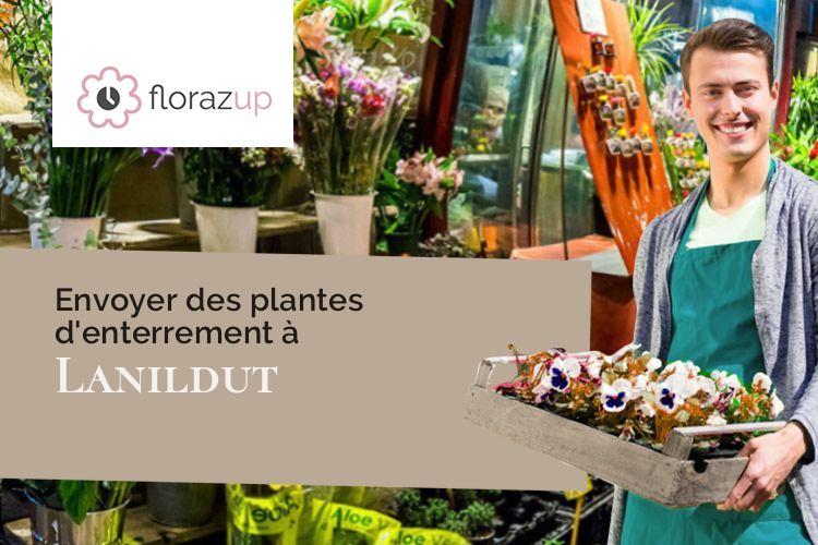 gerbes de fleurs pour un enterrement à Lanildut (Finistère/29840)