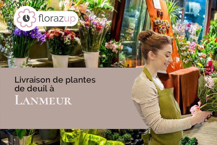 coeur de fleurs pour une crémation à Lanmeur (Finistère/29620)