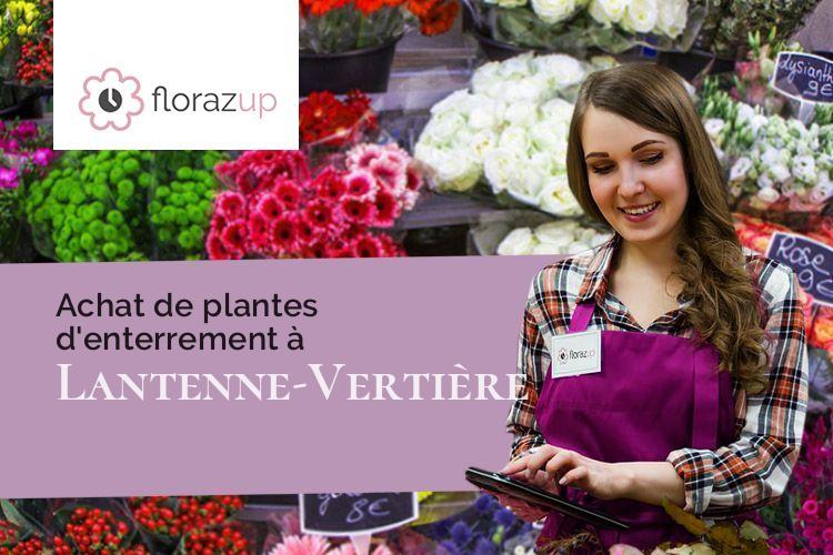 plantes pour un enterrement à Lantenne-Vertière (Doubs/25170)