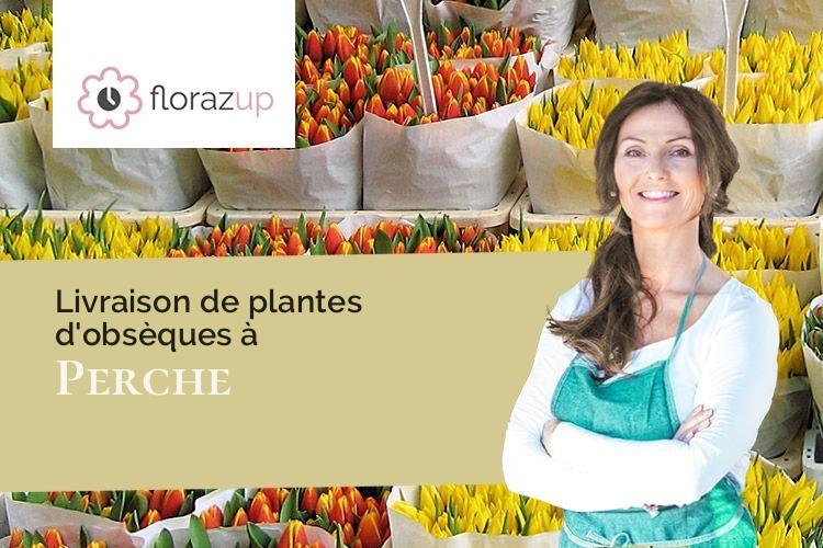 gerbes de fleurs pour un enterrement à Perche (Lot-et-Garonne/47800)