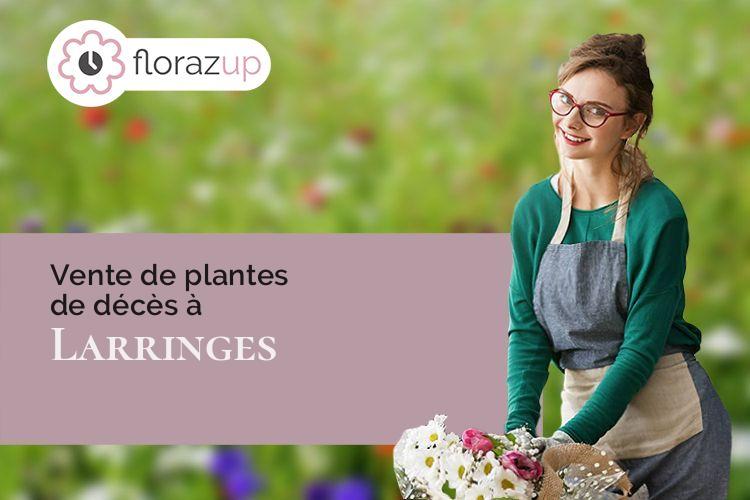 bouquets de fleurs pour un enterrement à Larringes (Haute-Savoie/74500)