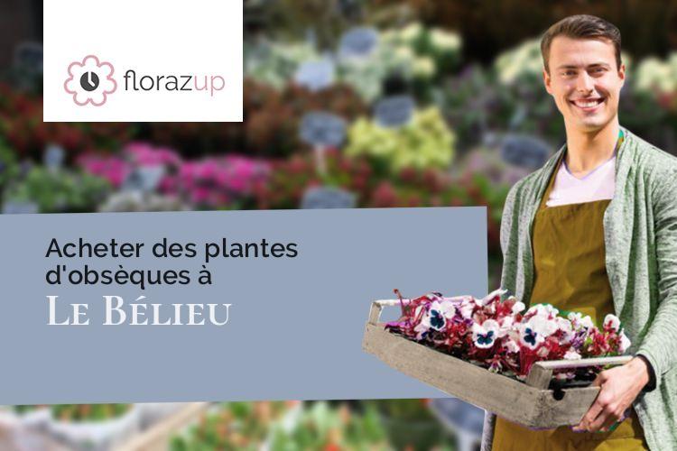 gerbes de fleurs pour des obsèques à Le Bélieu (Doubs/25500)