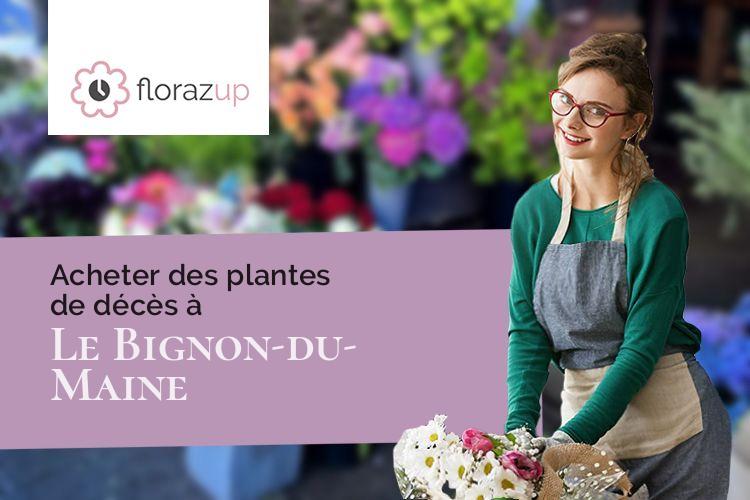 coeurs de fleurs pour une crémation à Le Bignon-du-Maine (Mayenne/53170)