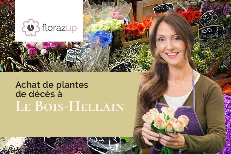compositions de fleurs pour un enterrement à Le Bois-Hellain (Eure/27260)