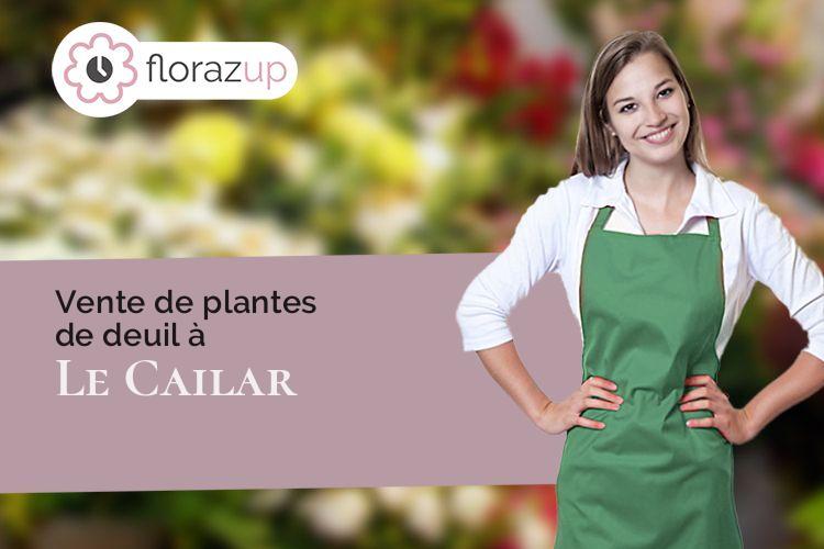 bouquets de fleurs pour un enterrement à Le Cailar (Gard/30740)