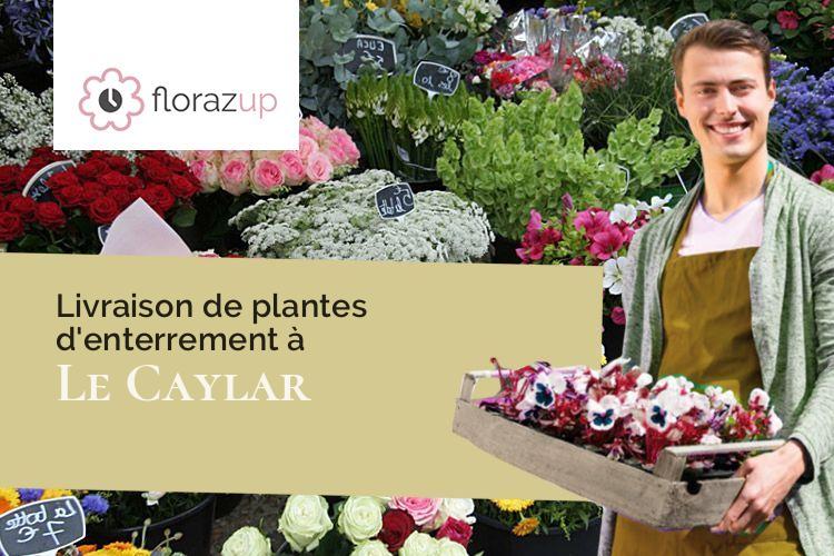 plantes pour des obsèques à Le Caylar (Hérault/34520)