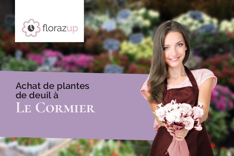 gerbes de fleurs pour un décès à Le Cormier (Eure/27120)