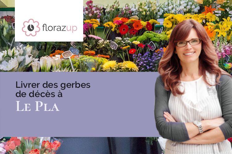 coupes de fleurs pour des obsèques à Le Pla (Ariège/09460)