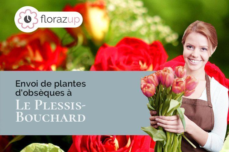 compositions de fleurs pour des funérailles à Le Plessis-Bouchard (Val-d'Oise/95130)
