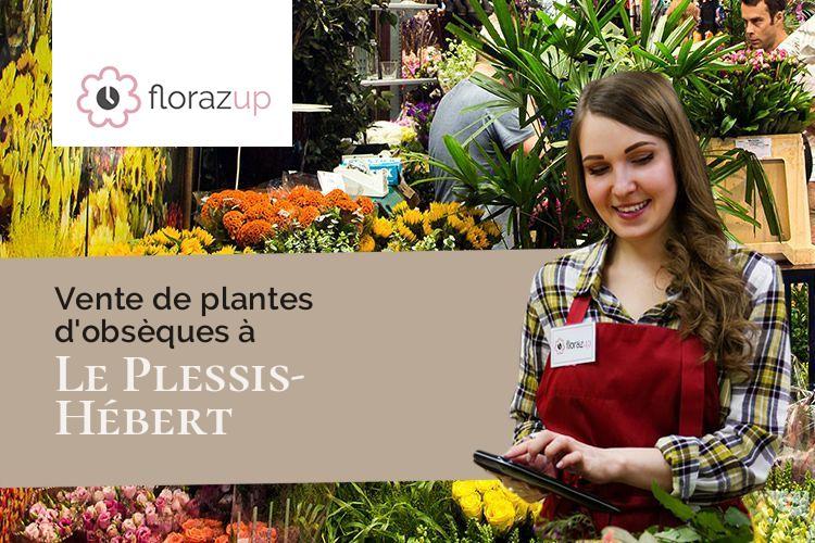 compositions florales pour un deuil à Le Plessis-Hébert (Eure/27120)