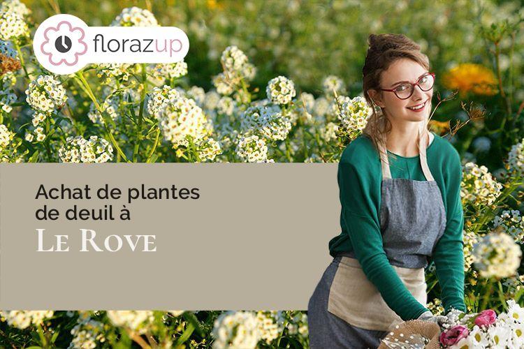 créations florales pour une crémation à Le Rove (Bouches-du-Rhône/13740)