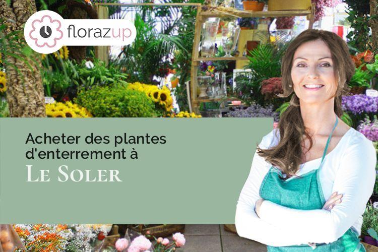 compositions de fleurs pour une crémation à Le Soler (Pyrénées-Orientales/66270)