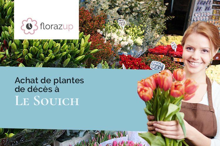 coupes de fleurs pour un décès à Le Souich (Pas-de-Calais/62810)