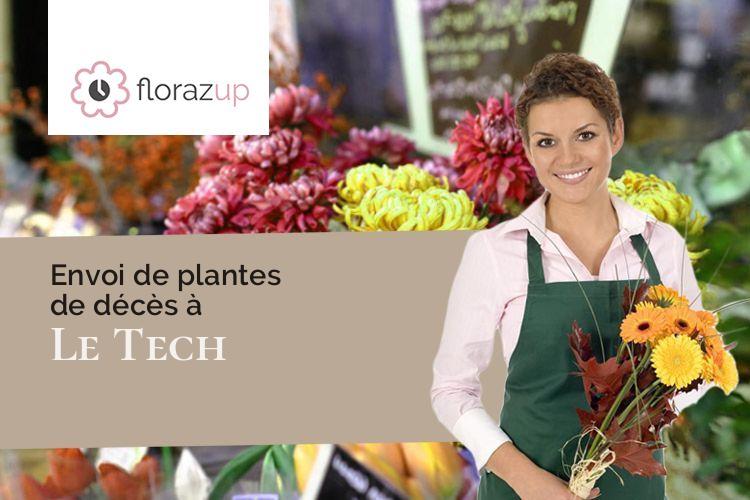 créations florales pour des obsèques à Le Tech (Pyrénées-Orientales/66230)