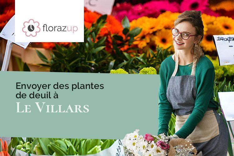 plantes pour un décès à Le Villars (Saône-et-Loire/71700)
