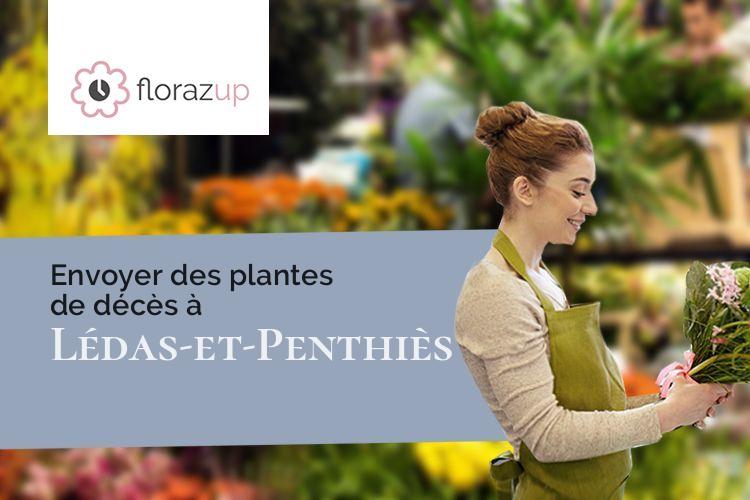 plantes pour un décès à Lédas-et-Penthiès (Tarn/81340)