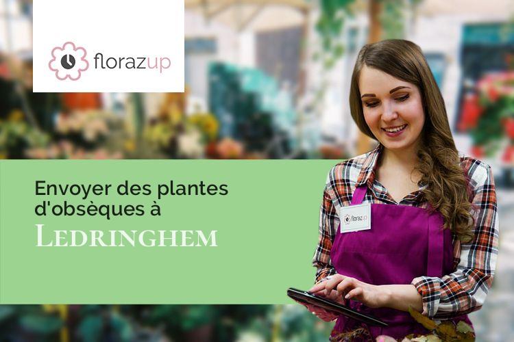 coupes de fleurs pour un décès à Ledringhem (Nord/59470)