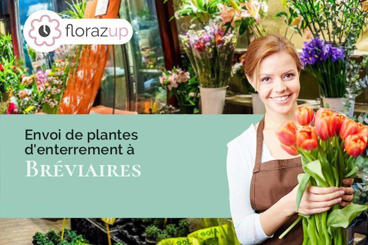 fleurs deuil pour un décès à Bréviaires (Yvelines/78610)