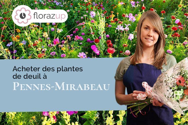 créations de fleurs pour un décès à Pennes-Mirabeau (Bouches-du-Rhône/13170)