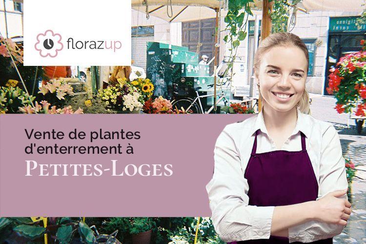 bouquets de fleurs pour un enterrement à Petites-Loges (Marne/51400)