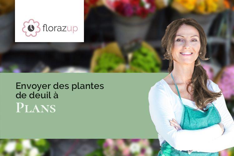 coupes de fleurs pour un décès à Plans (Gard/30340)