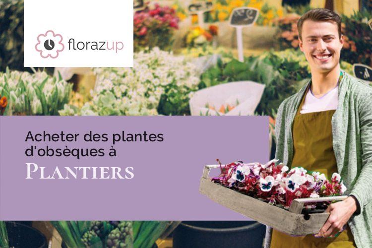 couronnes florales pour un deuil à Plantiers (Gard/30122)