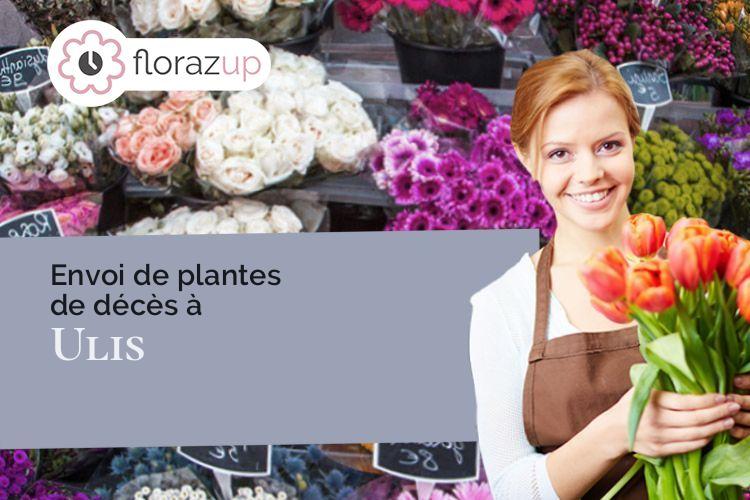 couronnes florales pour un décès à Ulis (Essonne/91940)