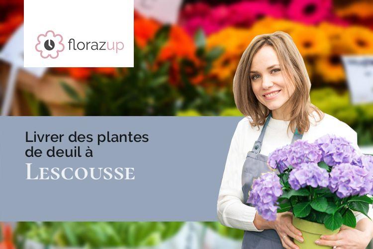 couronnes de fleurs pour un décès à Lescousse (Ariège/09100)