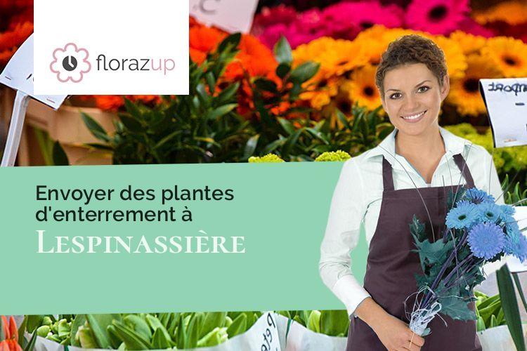 plantes pour des obsèques à Lespinassière (Aude/11160)