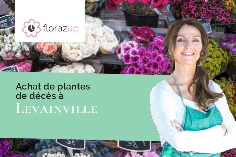 bouquets de fleurs pour un deuil à Levainville (Eure-et-Loir/28700)