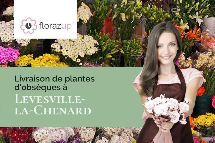gerbes de fleurs pour une crémation à Levesville-la-Chenard (Eure-et-Loir/28310)