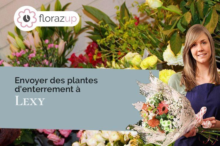 compositions florales pour une crémation à Lexy (Meurthe-et-Moselle/54720)