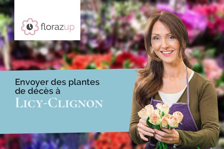 créations de fleurs pour un deuil à Licy-Clignon (Aisne/02810)