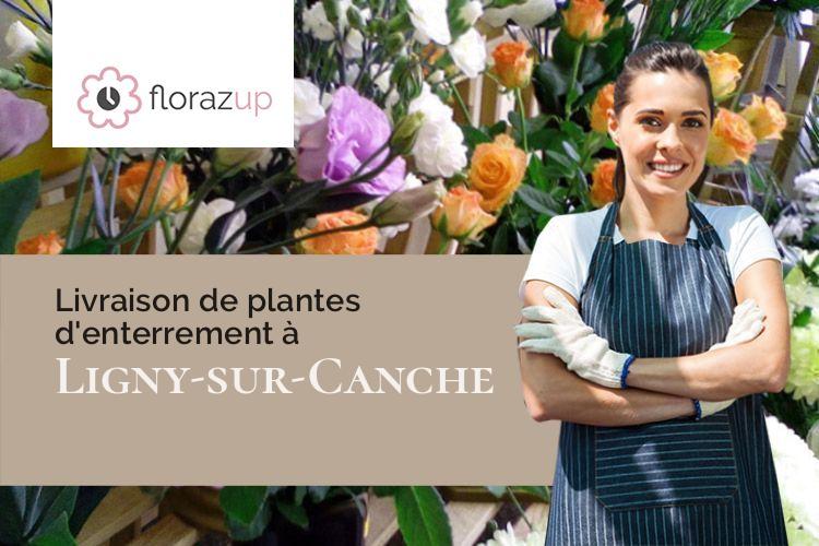 bouquets de fleurs pour une crémation à Ligny-sur-Canche (Pas-de-Calais/62270)