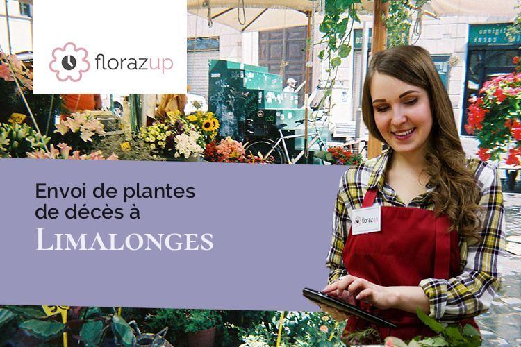plantes pour des funérailles à Limalonges (Deux-Sèvres/79190)