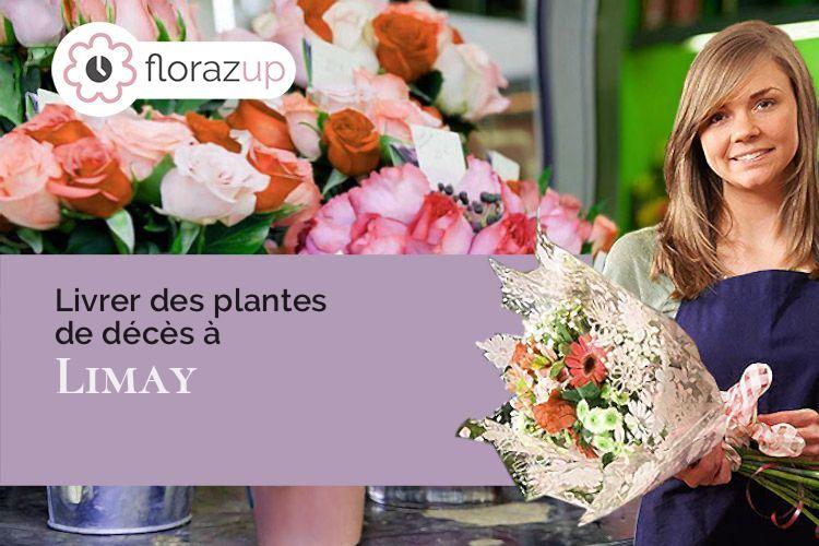 compositions de fleurs pour un décès à Limay (Yvelines/78520)
