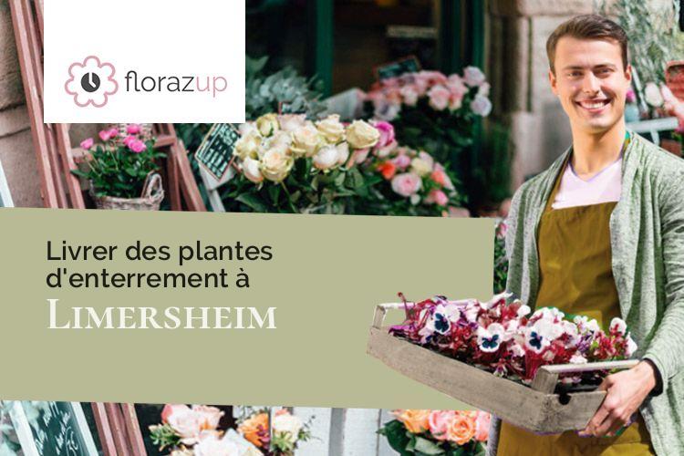 créations de fleurs pour un enterrement à Limersheim (Bas-Rhin/67150)