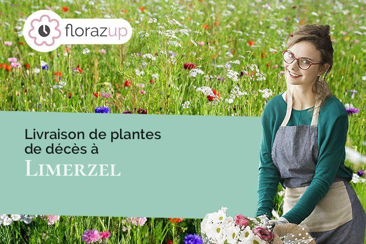 fleurs deuil pour un deuil à Limerzel (Morbihan/56220)